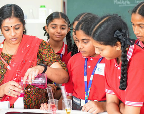 Scientific Activities